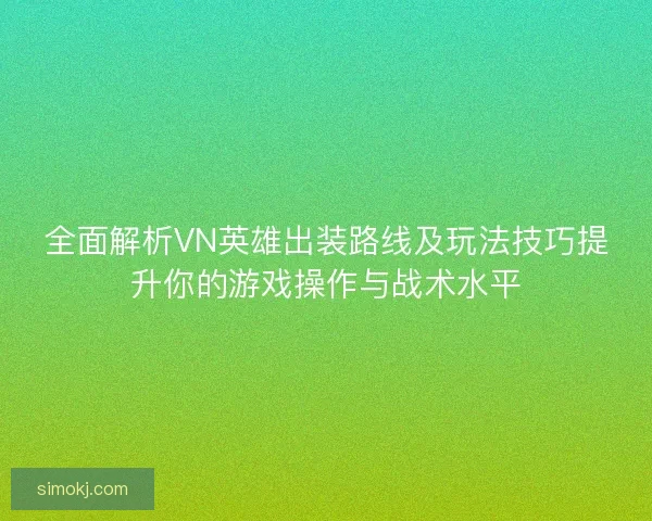 全面解析VN英雄出装路线及玩法技巧提升你的游戏操作与战术水平